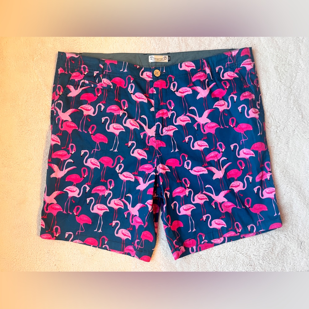 Oxford Lads Flamingo Print Shorts Men Size 34